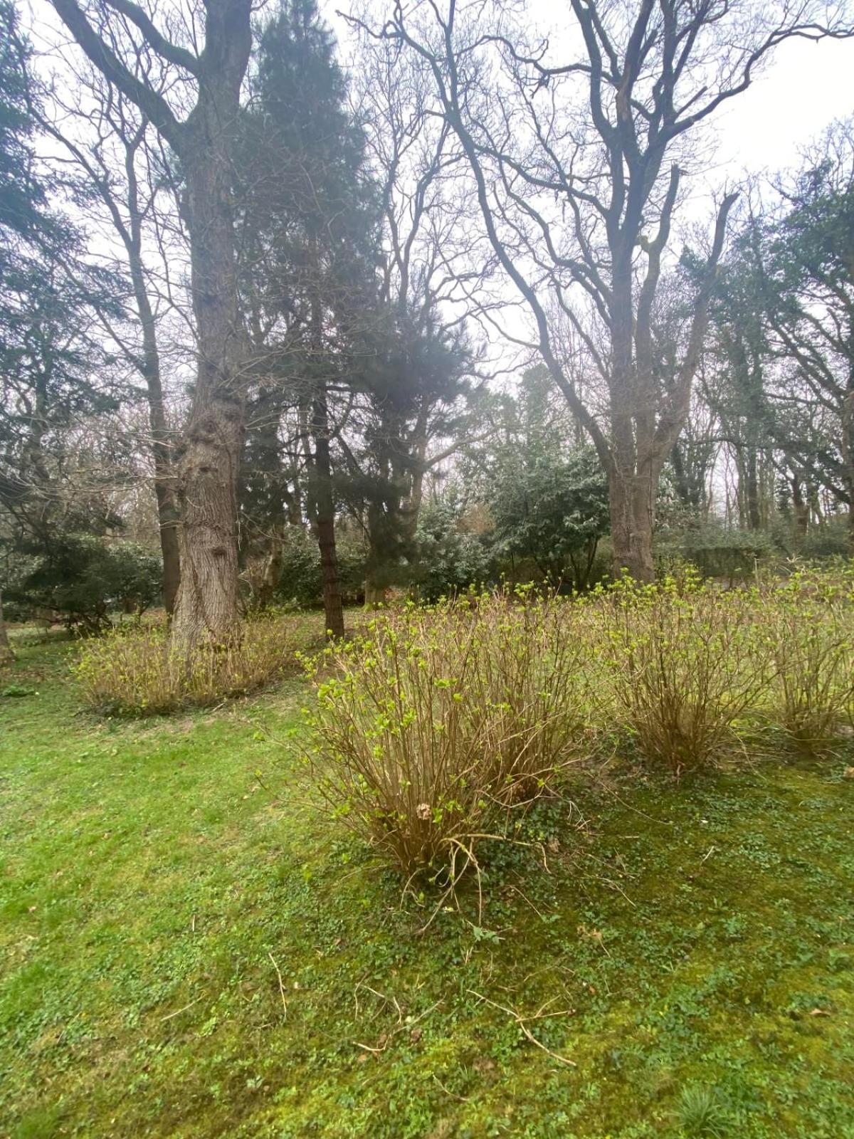 Bg32 - Mer & Bois De Cise Maison Individuelle Avec Grand Jardin Ault Exterior foto